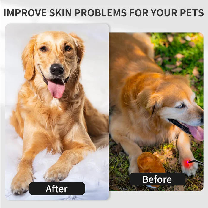 Appareil de thérapie orale à lumière rouge KTS®