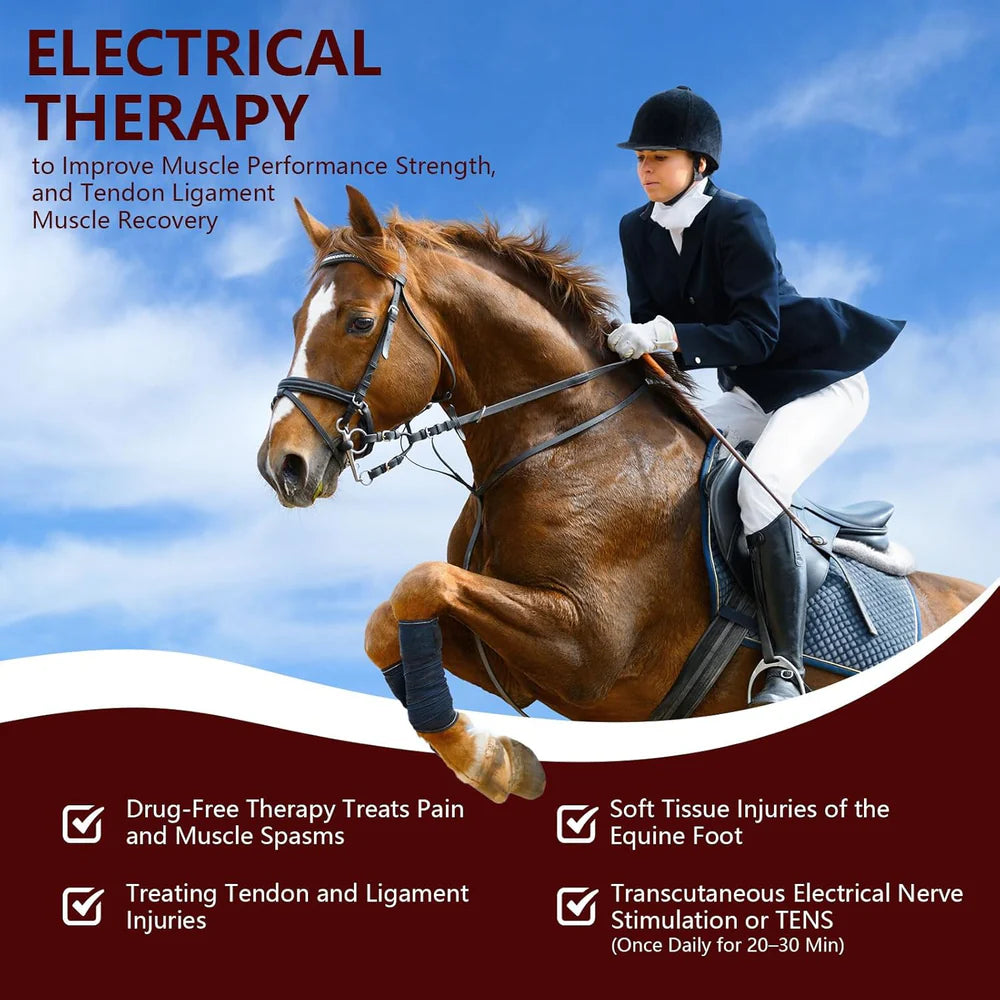 Appareil de luminothérapie infrarouge KTS® pour soulager la douleur arthritique