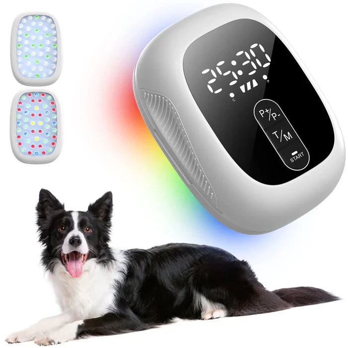 Appareil de thérapie au laser froid pour animaux de compagnie KTS®