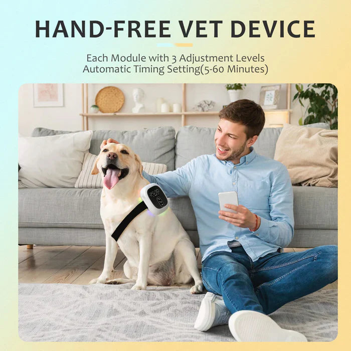 Appareil de thérapie au laser froid pour animaux de compagnie KTS®