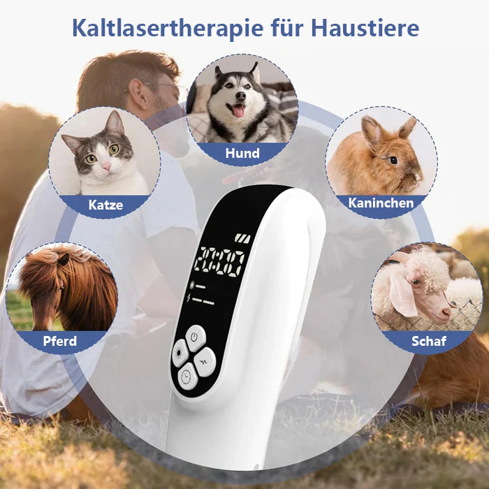 KTS® Appareil de thérapie au laser froid amélioré