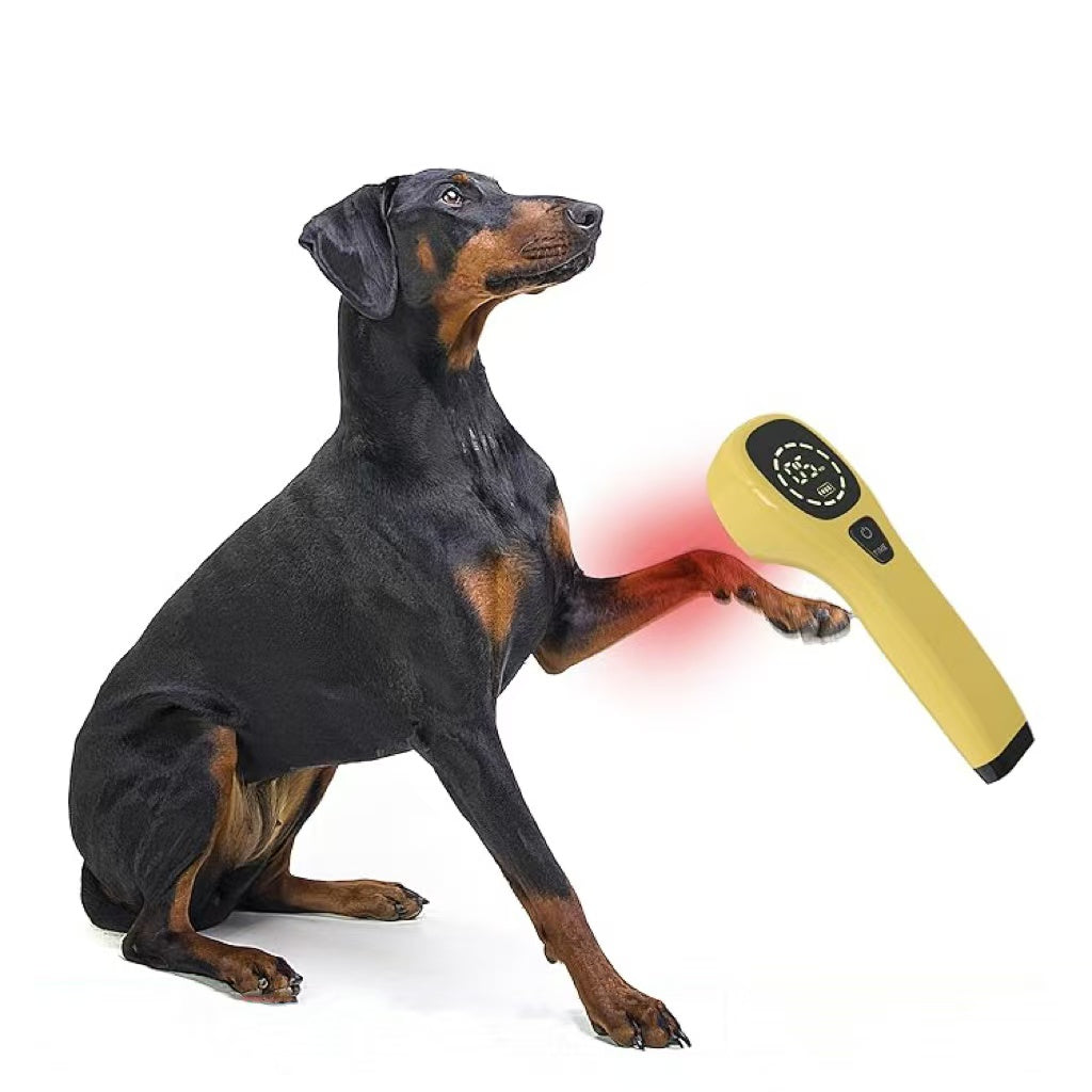 KTS® Pet Handheld Cold Laser Therapy Device