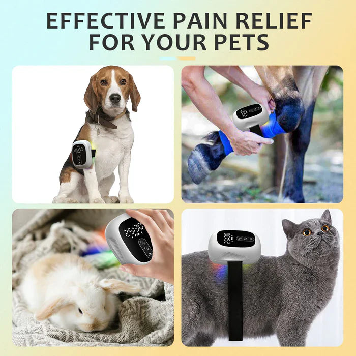 Appareil de thérapie au laser froid pour animaux de compagnie KTS®
